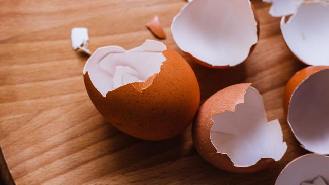 The Best Way to Remove an Errant Piece of Eggshell