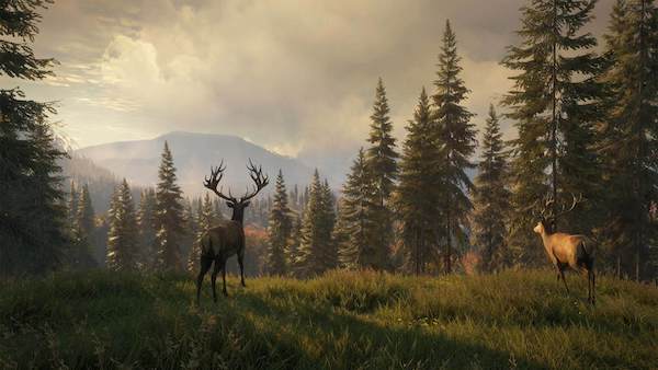 Image: The Hunter: Call of the Wild