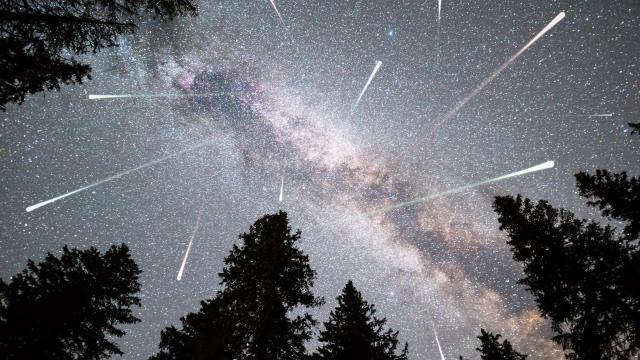 How to View the Perseid Meteor Shower This Week
