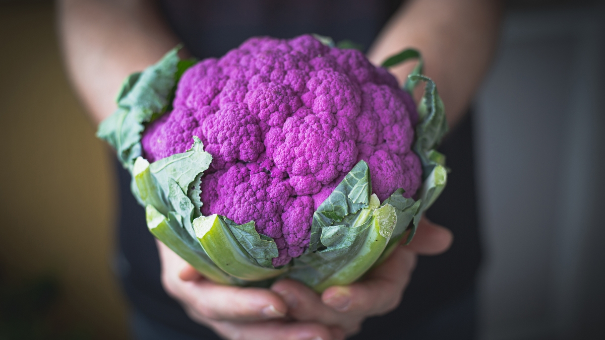 coloured cauliflower purple