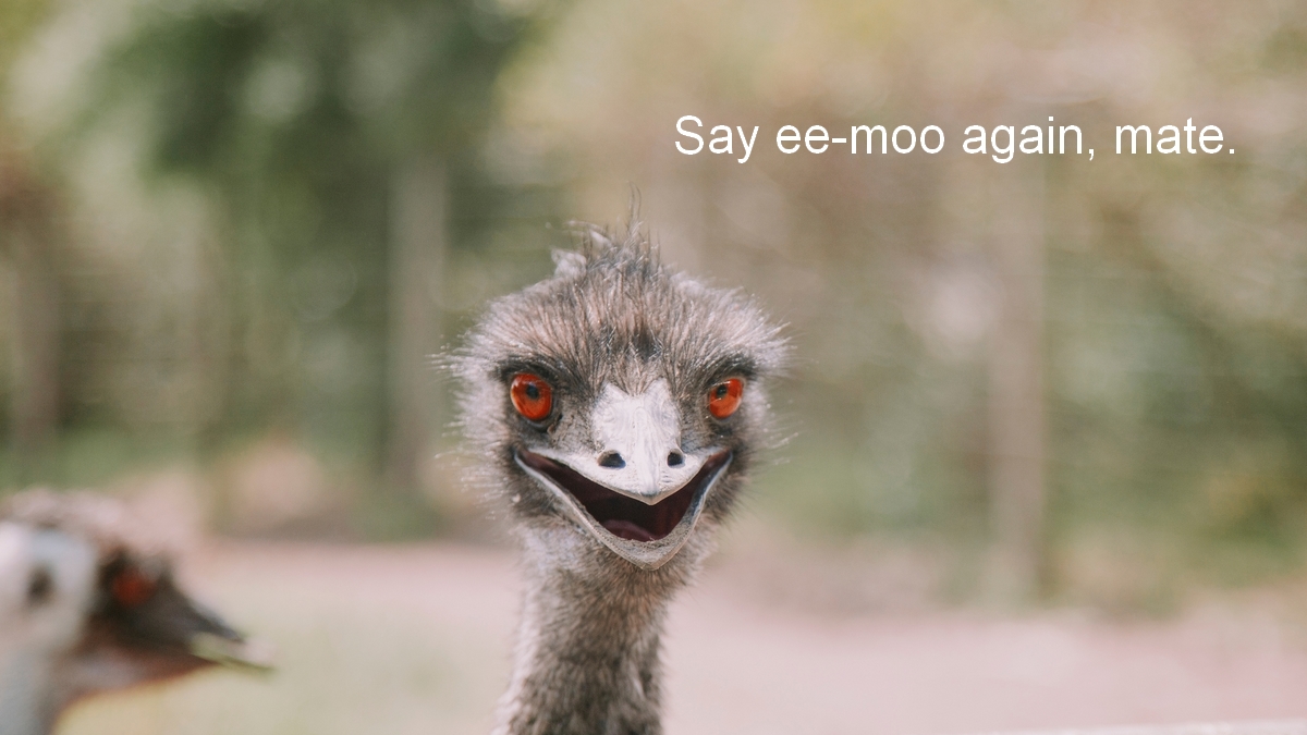emu war pronunciation eemoo