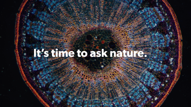 Finds Nature’s Solutions to Your Problems With This Website