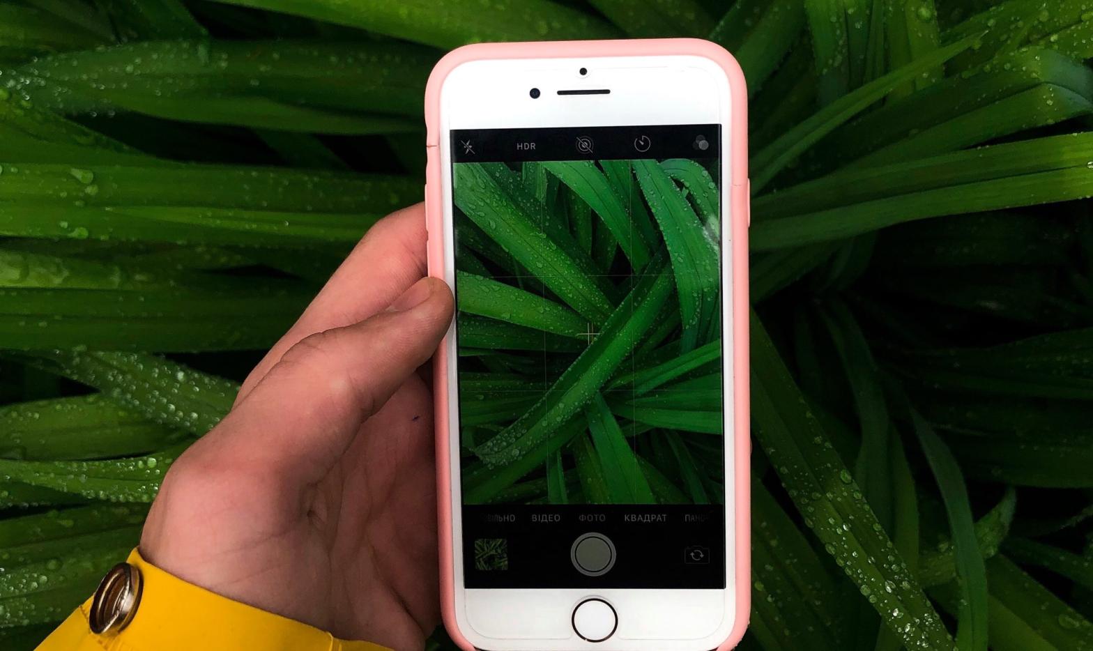 These plant apps will help you keep them alive