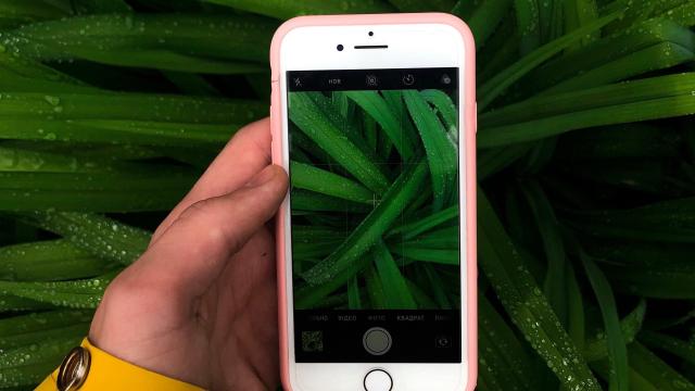 5 Apps That’ll Help Keep Your Plants Alive