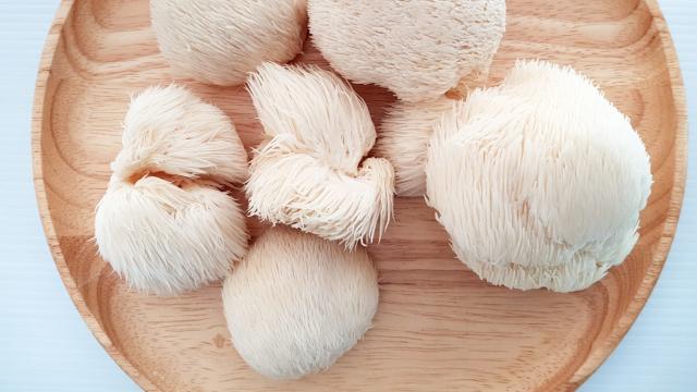 How to Choose, Store, and Eat Lion’s Mane Mushrooms