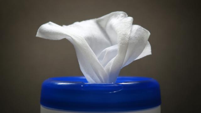 ‘Flushable’ Wipes Are a Lie