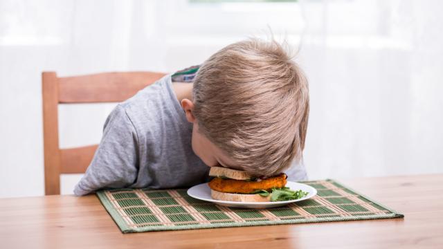 Trick Your Kids into Eating Meals by Calling Them ‘Big Snacks’