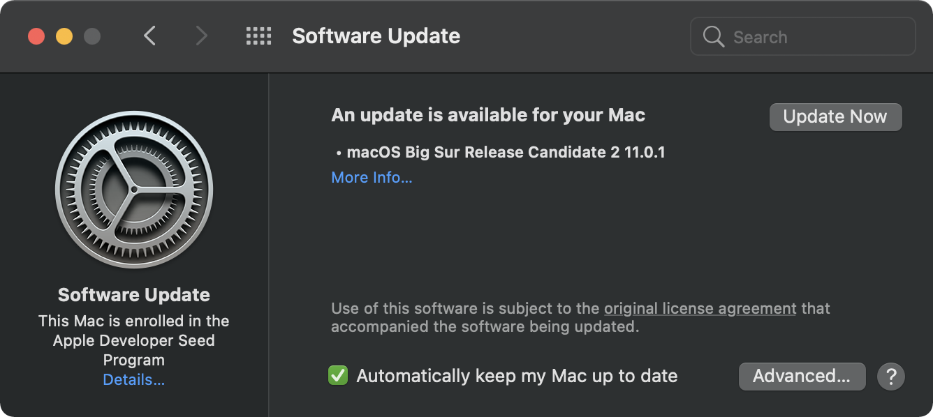 You'll see slightly different language for the actual macOS Big Sur update. This is just an example using the macOS Big Sur beta. (Screenshot: David Murphy)
