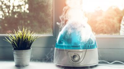 How to Clean and Sanitise Your Humidifier, Because It’s Probably Gross in There