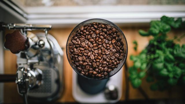 Stale Coffee Beans Are Probably Ruining Your Brew
