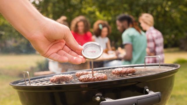 Why You Should Use a Smart Meat Thermometer