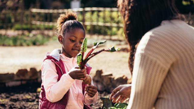 How to Introduce Your Kids to Vegan and Plant-Based Diets