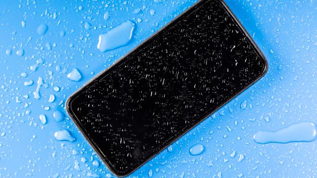 This Is the Only Way To Save a Wet Phone