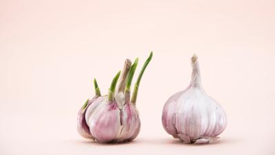 The Easiest Way to Keep Your Garlic From Sprouting