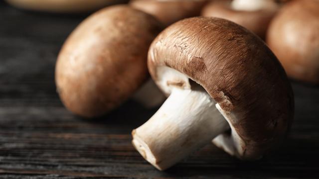 How to Store Your Mushrooms to Make Them Last Longer