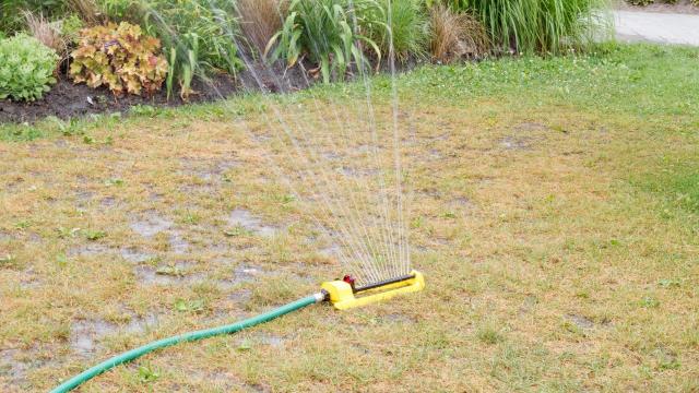 Use a Screwdriver, and Other Ways to Keep From Overwatering Your Lawn This Summer
