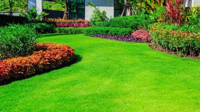 10 Ways to Grow a Greener, Healthier Lawn