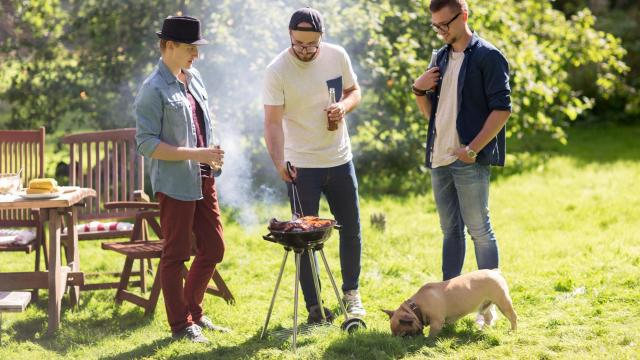 How to Throw a Dog-Friendly Barbecue