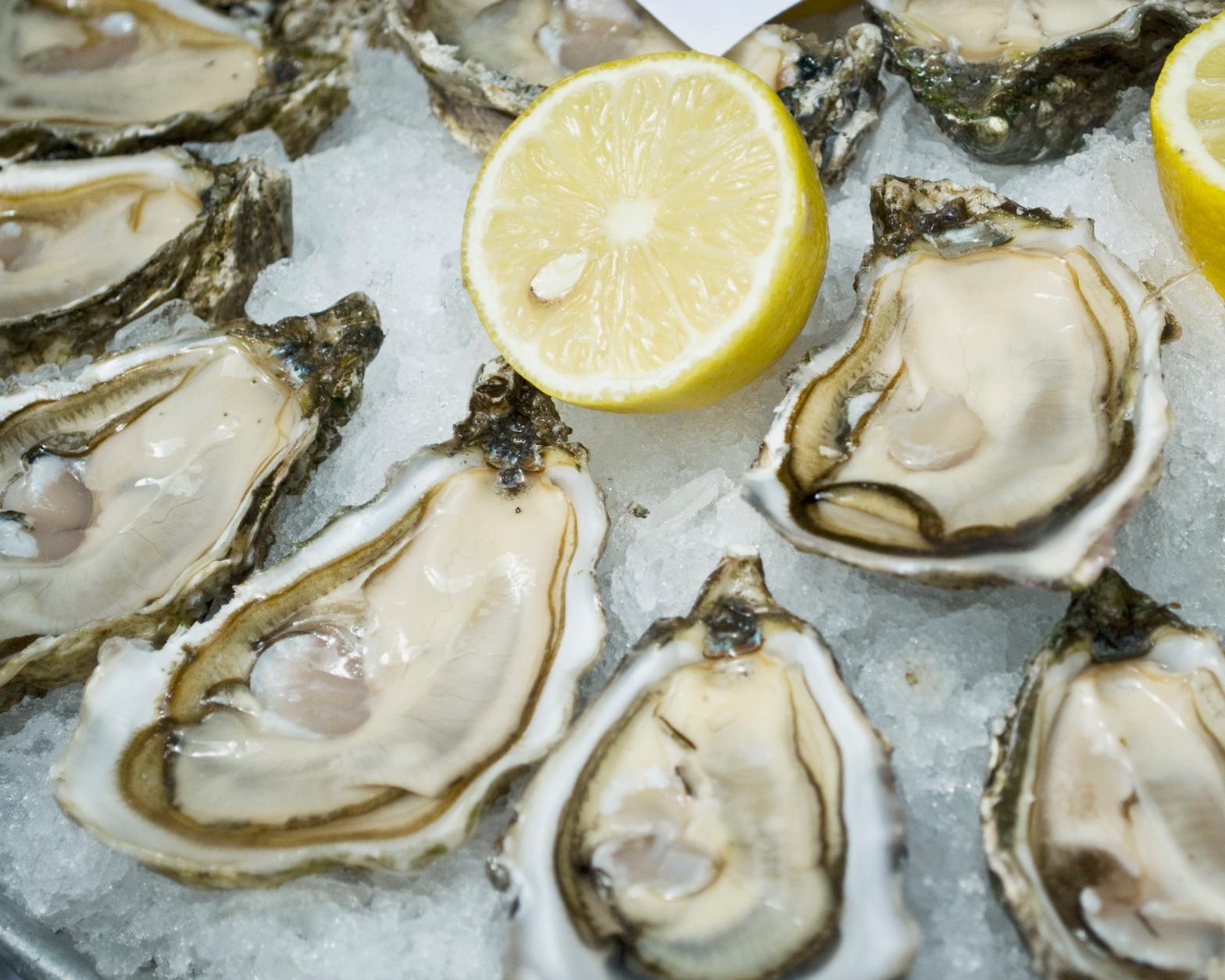 how to shuck oysters