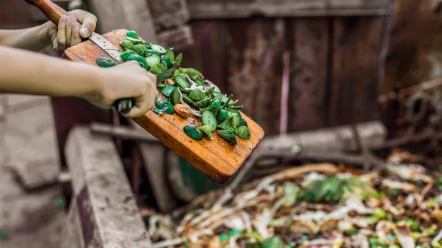 The Best and Worst Foods for Composting
