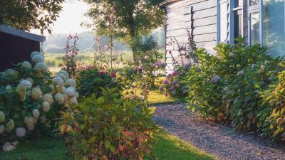 Your Back Yard Needs a Shade Garden