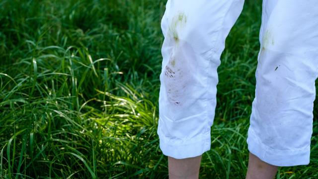 Grass Stains Out of Jeans