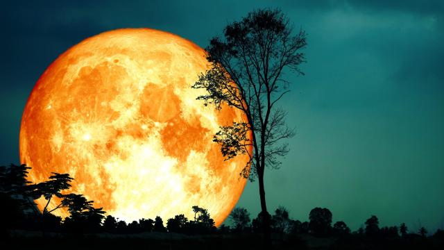 When to See the ‘Harvest Moon’ at Peak Brilliance This Month