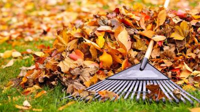 6 Ways to Actually Use the Leaves on Your Lawn (Instead of Throwing Them Out)