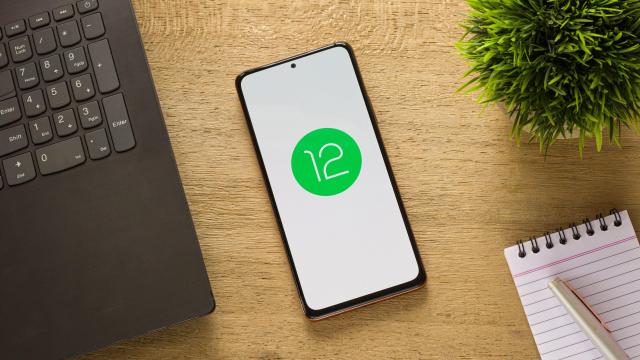 How to Install Android 12 on Your Phone Right Now