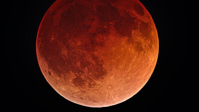 When to See November’s Lunar Eclipse of the Beaver Moon