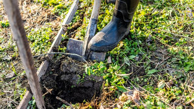 How to Improve Your Garden Soil Quality Over the Winter