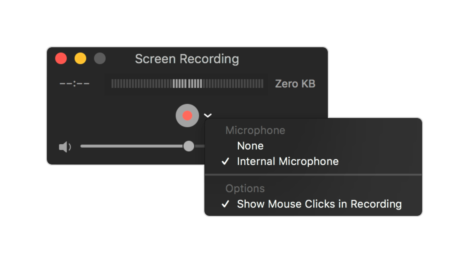 How to Quickly Record Your Mac’s Screen to Capture a Wild Moment
