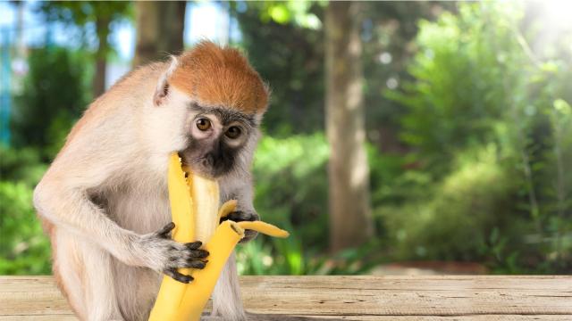 Have You Been Eating Bananas Wrong This Whole Time?