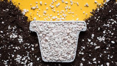 How to Add Perlite to Your Soil (and When You Should)