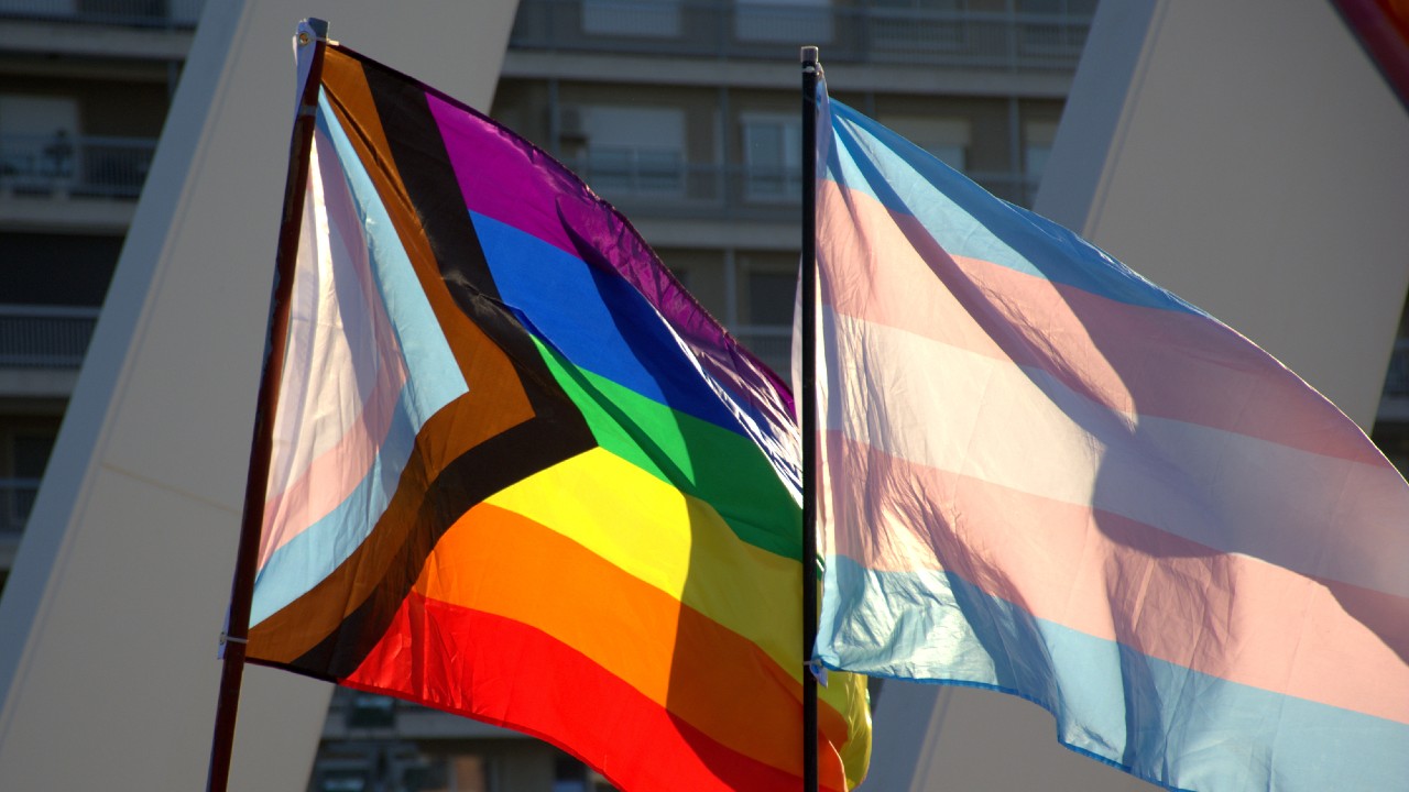 Gay and Trans pride flag