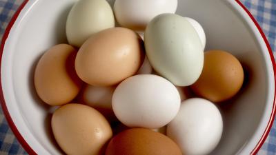 The Best (and Worse) Ways to Freeze Eggs From the Grocery Store