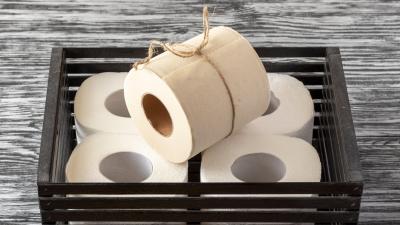 Is Bamboo Toilet Paper All It’s Cracked Up to Be?