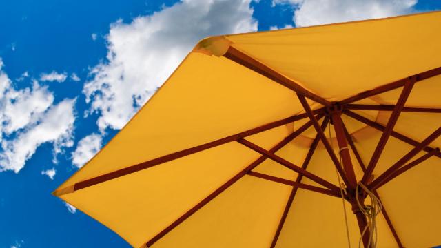You Need to Clean Your Outdoor Umbrella