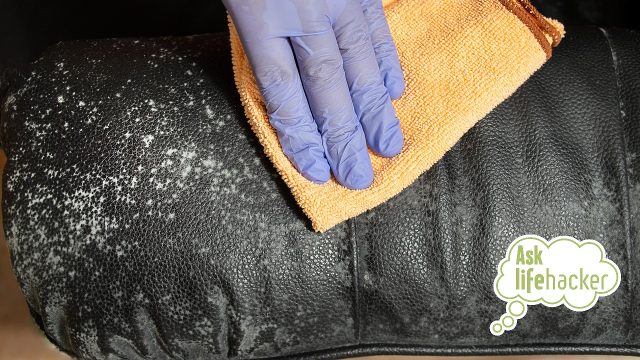How to clean mould off of leather