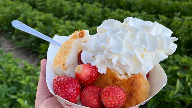 Take These Shortcake Fixings Along When You Go Berry-Picking