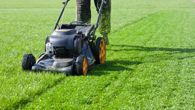 Everything You Should Do to Keep Your Lawnmower Running All Summer