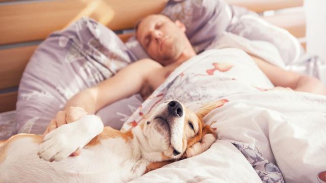 How to Master a Sleep Routine That Actually Works