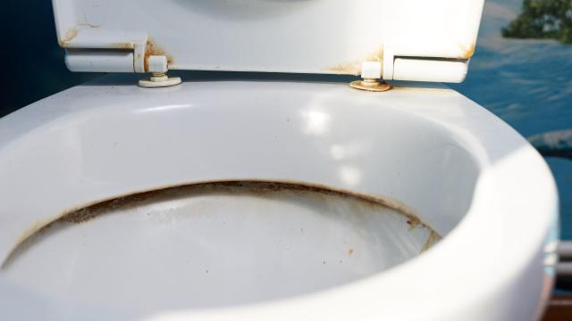 How to Clean the Worst Water Stains From Your Toilet