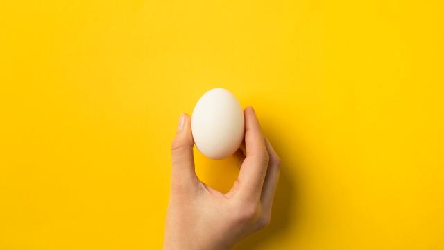 What’s Causing Australia’s Egg Shortage?