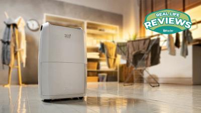 Renters, Rejoice: This DeLonghi Dehumidifier Saved Me From Winter Mould and Mildew