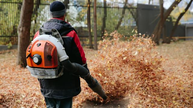 Four Alternatives to Petrol-Powered Leaf Blowers (That Aren’t a Rake)