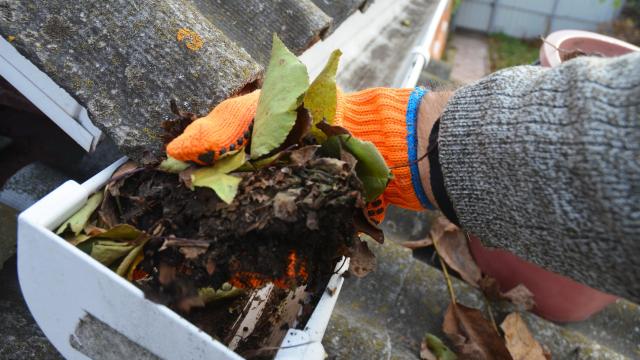 11 Essential Autumn Home Maintenance Tasks Everyone Should Tackle