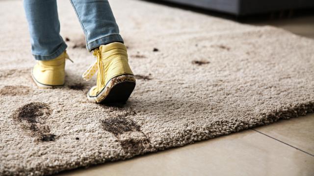 How to Keep Carpets From Polluting Your Indoor Air