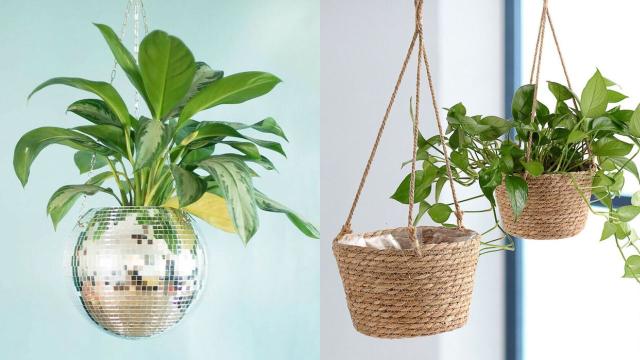 11 Hanging Planters to Elevate Your Ever-Growing Plant Collection