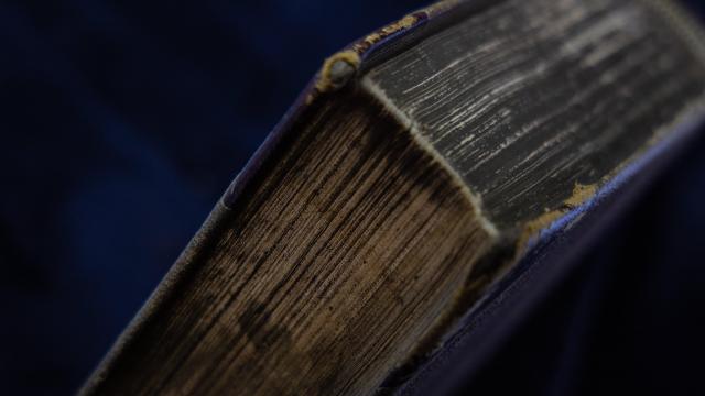How to Remove Mould From Books (and Prevent It From Coming Back)